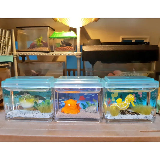 Frutiger Aero Mini Aquarium